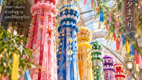 🎋 Where Wishes Fill the Sky — ฝากคำอธิษฐานไว้กับสายลมฤดูร้อนของญี่ป — traveler post in Sendai