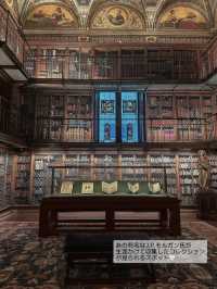 【どこかわかる！？】知る人ぞ知る！ため息が出るほど美しいライブラリー📚