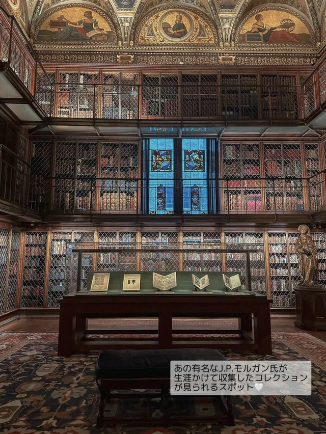 【どこかわかる！？】知る人ぞ知る！ため息が出るほど美しいライブラリー📚