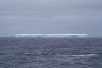 🇦🇶 Day 1-4: Cruise embarkation + Drake Passage