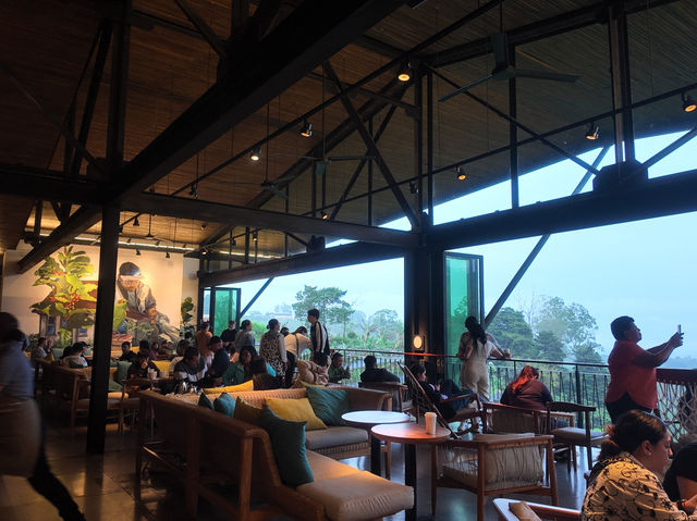 【コスタリカ】スターバックス初の自社農園☕️