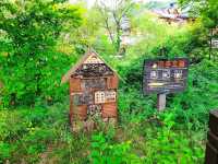 恩平韓屋村