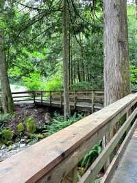 🇨🇦Vancouver근교에 시원하고 맑은 폭포Cascade falls regional park  