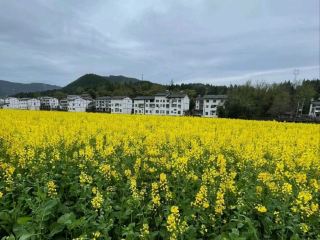 Exploring the Stories of a Centuries-Old Town