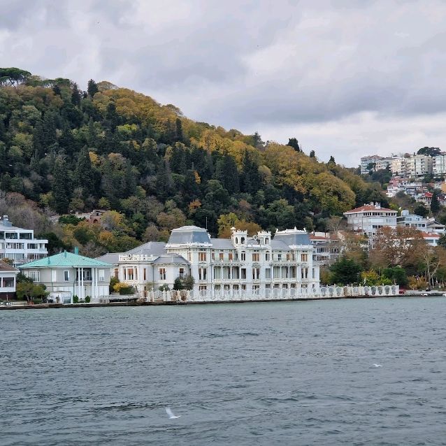 🏖️🌊 Explore the Blissful Bebek Sahili in Istanbul! 🌆🚤



