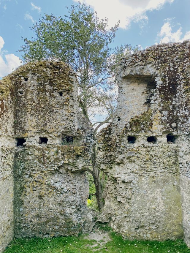 Sutton Valence Castle, 🏴󠁧󠁢󠁥󠁮󠁧󠁿 