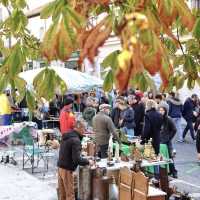 Literary Madrid in Fall