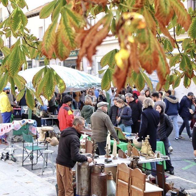 Literary Madrid in Fall