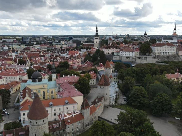 愛沙尼亞🇪🇪景點-Patkuli viewing platform