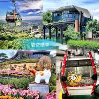 🚡《貓空纜車》坐水晶車廂欣賞超美風景🚠