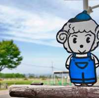 🐑羊之丘展望台🐑山頂觀景台看綿羊🐏品嚐鮮羊奶
