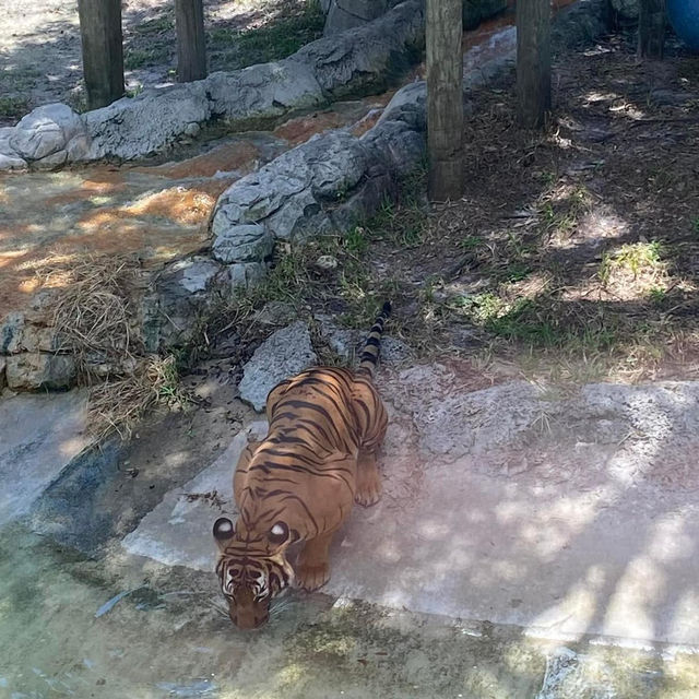 ZooTampa at Lowry Park 🇺🇸 ZooTampa at Lowry Park 🇺🇸