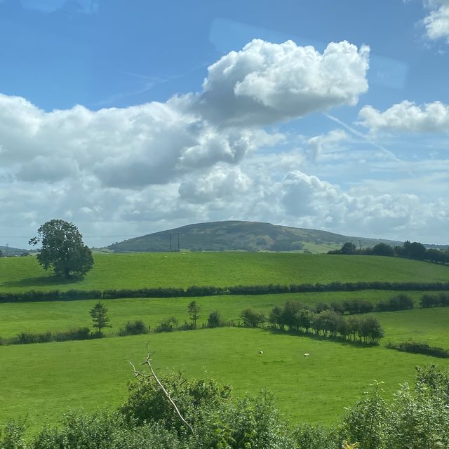 Into the Valley: Scenic Drives and Endless Views