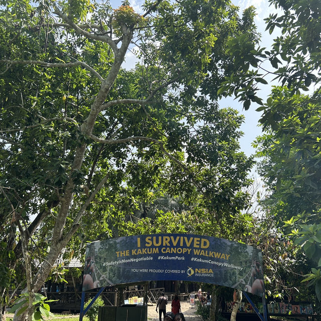 The Kakum National Park in Ghana 🇬🇭 