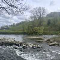 Rivers and Woods