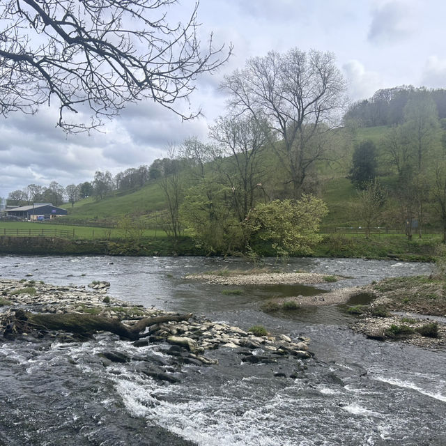 Rivers and Woods