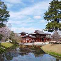 A sacred power spot that has been worshipped since ancient times