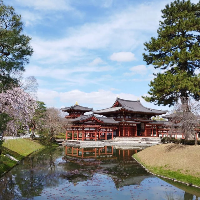 A sacred power spot that has been worshipped since ancient times