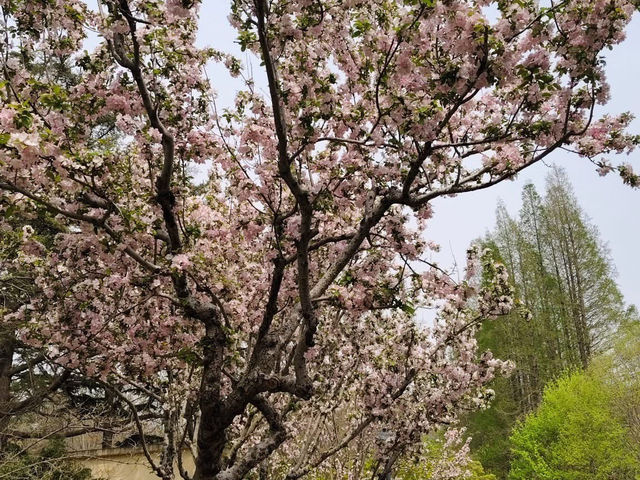 Zhongshan Park
