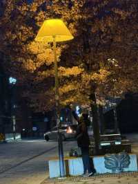 7 วันในสวีเดน