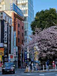 10 Tokyo Neighborhoods That Show the City’s True Colors