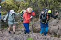 6 Days Kilimanjaro Climbing Group Joining Tour via the Machame Route