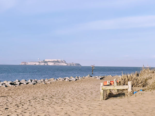 Golden Gates & Hidden Lanes: Exploring San Francisco Like a Local