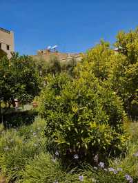 🌿 Le Jardin Secret – A Hidden Oasis in the Heart of Marrakech