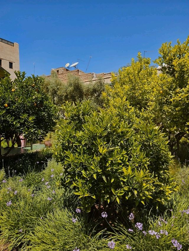 🌿 Le Jardin Secret – A Hidden Oasis in the Heart of Marrakech