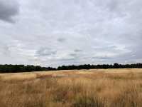 A day out in the countryside near coventry!