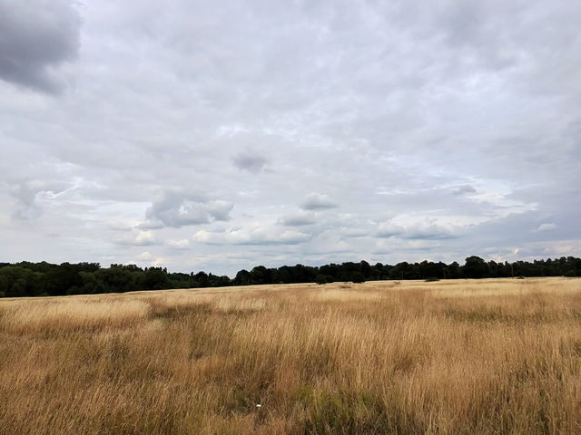 A day out in the countryside near coventry!