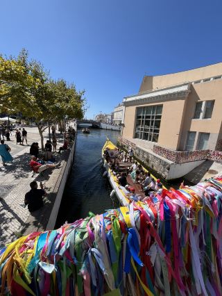 Aveiro - 葡萄牙的威尼斯