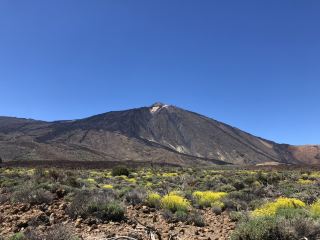 特內里費的自然美景