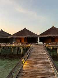 Live a dream island 🏝️ life: Kuramathi Island Resort Maldives