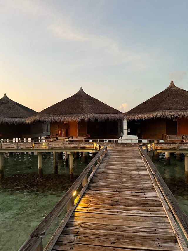 Live a dream island 🏝️ life: Kuramathi Island Resort Maldives