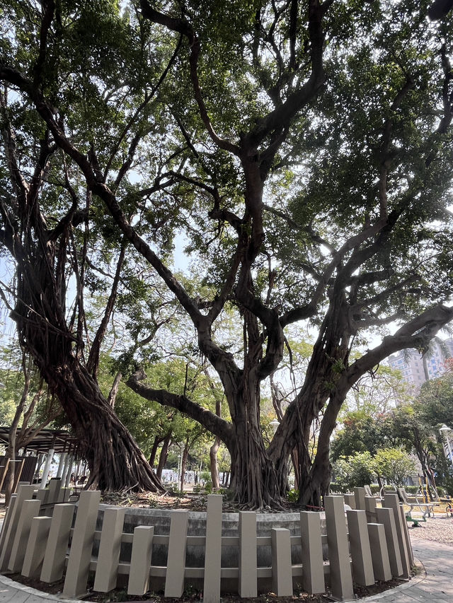 台南慢活遊