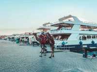 Hurghada – Egypt’s Red Sea Paradise