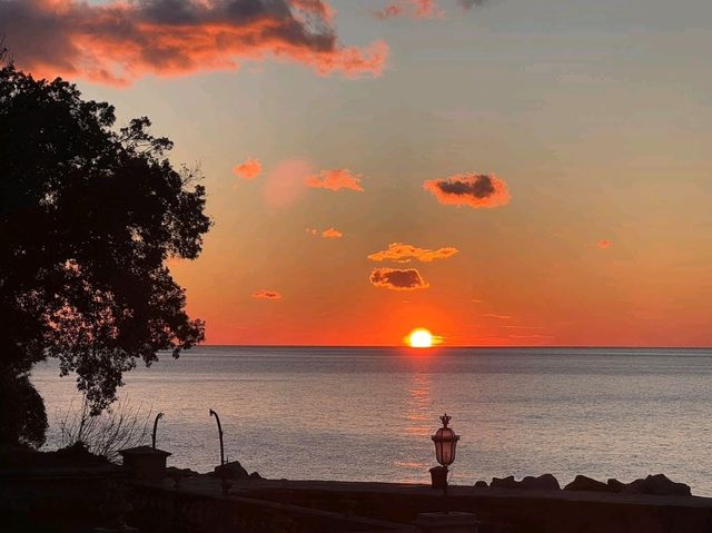 Miramare Castle: The Castle Built for Love (and Cursed by Love) Miramare Castle: The Castle Built for Love (and Cursed by Love)