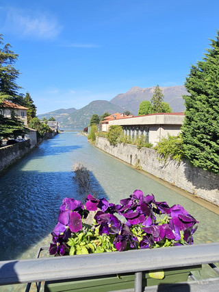 Dreaming of a tranquil Italian lakeside escape? Bellano in the Province of Como and neighboring Lecco offer an unbeatable blend of dramatic mountain scenery, charming old towns, and that signature Lake Como sparkle. Imagine waking up to sweeping views—purple flowers blooming along canals, rolling mountains in the distance, and endless blue skies await! 🌸🏔️

For a truly memorable stay, consider the Hotel Meridiana in Bellano. Perched right by the lake, it delivers front-row seats to sunset over the water, plus easy walks to the famous Orrido di Bellano gorge (don’t miss this!). Getting here is a breeze—hop off the train at Bellano station, and you’re minutes from lakeside strolls and the picture-perfect old town.

Hotel Meridiana sets the mood with its cozy, authentic Italian ambiance. Expect classic rooms with plush bedding, lakeview balconies, and thoughtful touches like locally-sourced toiletries. The on-site restaurant is a standout: dine on fresh lake fish, homemade pastas, and local wine beneath vintage lanterns, all with those iconic mountain views. Tip—ask for the risotto with perch fillets and pair it with a crisp white from Valtellina!

Snap your own “insta-worthy” shots at sunrise, especially with the purple blooms lining the nearby canals and alpine peaks in the background. Nature lovers, don’t forget to pack hiking shoes for the Sentiero del Viandante trail—perfect for panoramic shots.

Booking? Don’t wait—Hotel Meridiana is a Lake Como classic with limited rooms, so reserve ahead on trip.com for the best rates and flexibility. Pack light layers for variable weather, bring a camera, and plan on day trips to Lecco for local history and more lakeside charm.

#Bellano #LakeComo #BoutiqueHotel #MountainView #ItalyTravel