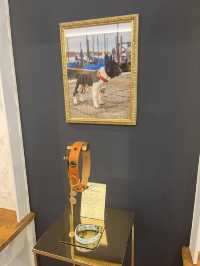 Шопинг во Флоренции: версия для собачников