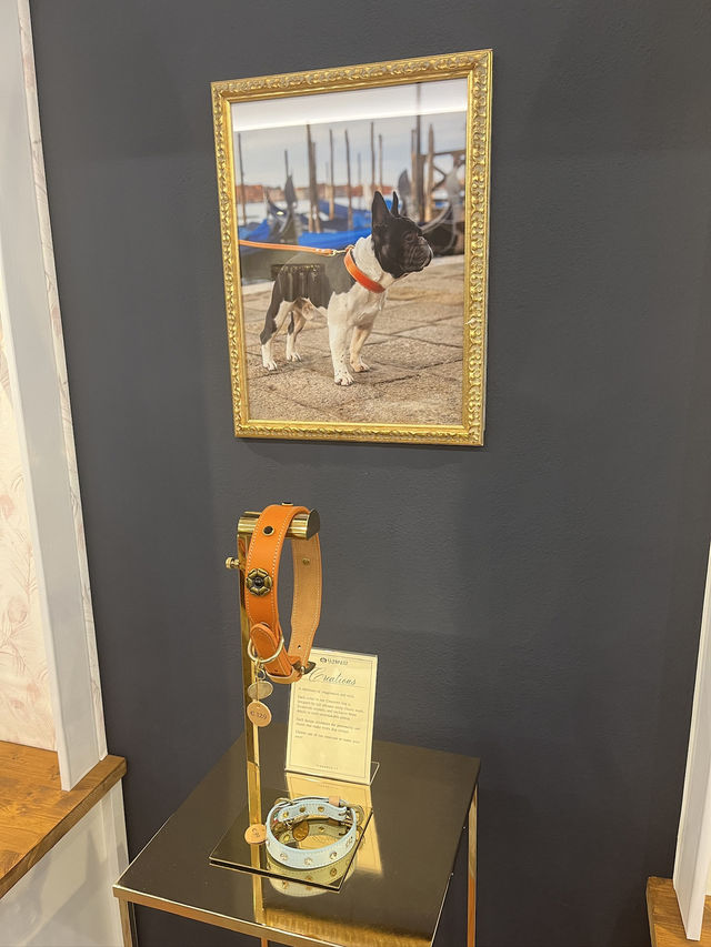 Шопинг во Флоренции: версия для собачников Шопинг во Флоренции: версия для собачников