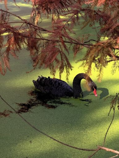 The Matcha lake! (Qingshan lake) | Trip.com Hangzhou