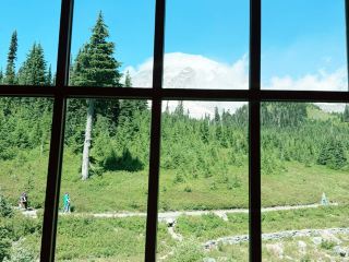 為何每位足球迷在西雅圖世界盃後都必須造訪雷尼爾山