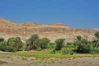 【Travel around the 🌍 world】Egypt🇪🇬. The Colossi of Memnon.