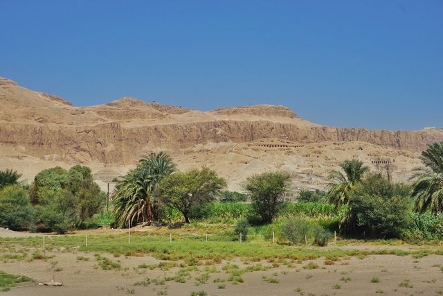 【Travel around the 🌍 world】Egypt🇪🇬. The Colossi of Memnon.