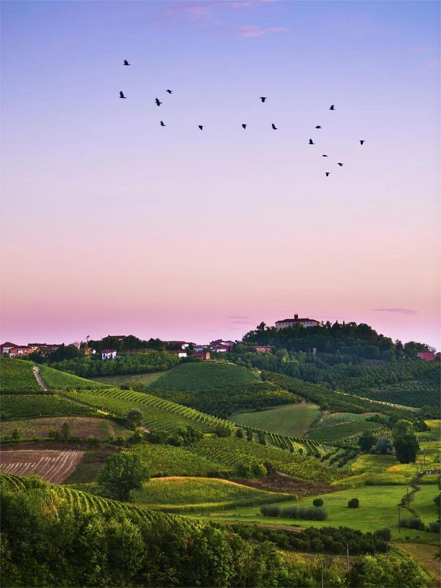 Villa Cetinale 🏰, a stunning Baroque villa in Tuscany.