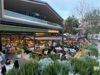 Where to eat Western Food in Chengdu🇨🇳