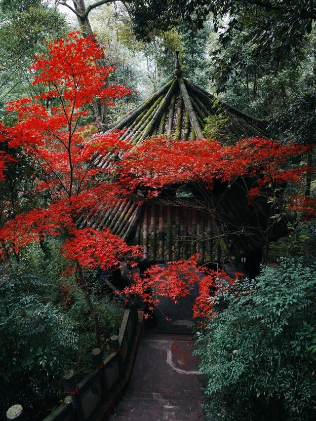 鶴鳴山道觀|道教發源地～賞楓葉賞銀杏聖地