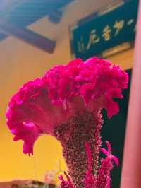 華嚴寺