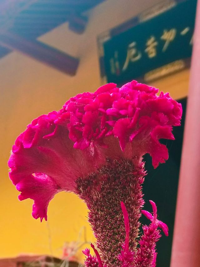 華嚴寺